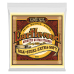 Ernie Ball P02047 Earthwood Silk 