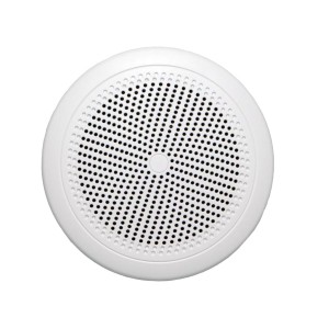 Equipson مكبرات صوت سقفية IC-5-M