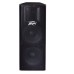 Peavey PV® 215D مكبر صوت مزدوج نشط شبه ثلاثي الاتجاه مقاس 15 بوصة