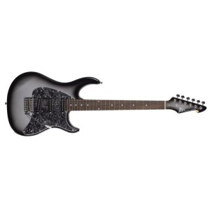 Peavey Raptor Custom Sliverburst Electric Guitar-03018180